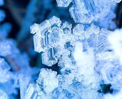 Glaciaal Glycoprotein | Kiehl's