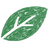Groene, handgetekende bladvorm met een uitgesneden lijn in het midden, symbool voor natuur en duurzaamheid.