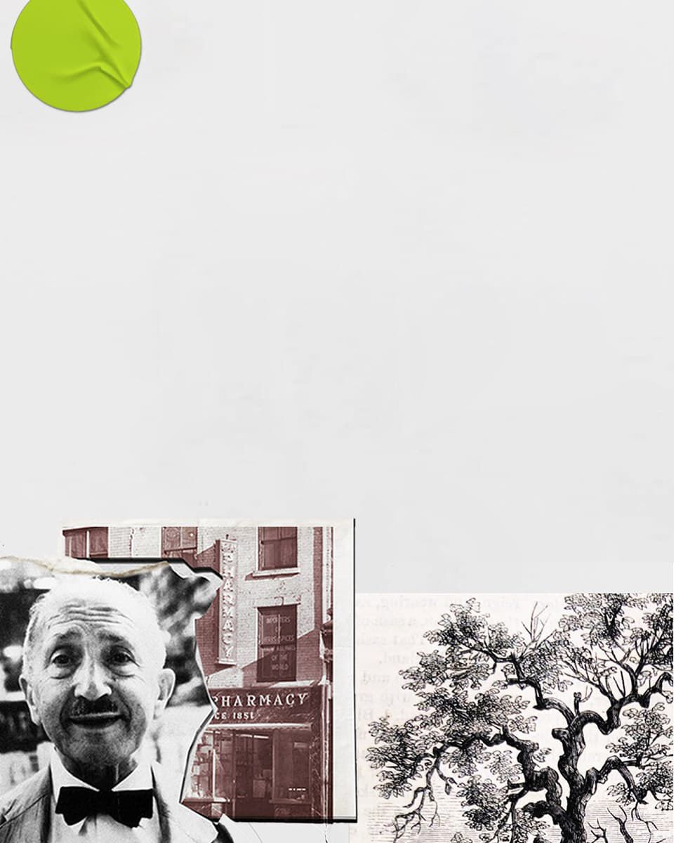 Een panoramische collage met een zwart-wit portret van een lachende oudere man, een vintage apotheekgevel, abstracte witte ontwerpelementen en een zwart-wit illustratie van een oud straatbeeld met bomen en gebouwen, allemaal gescheiden