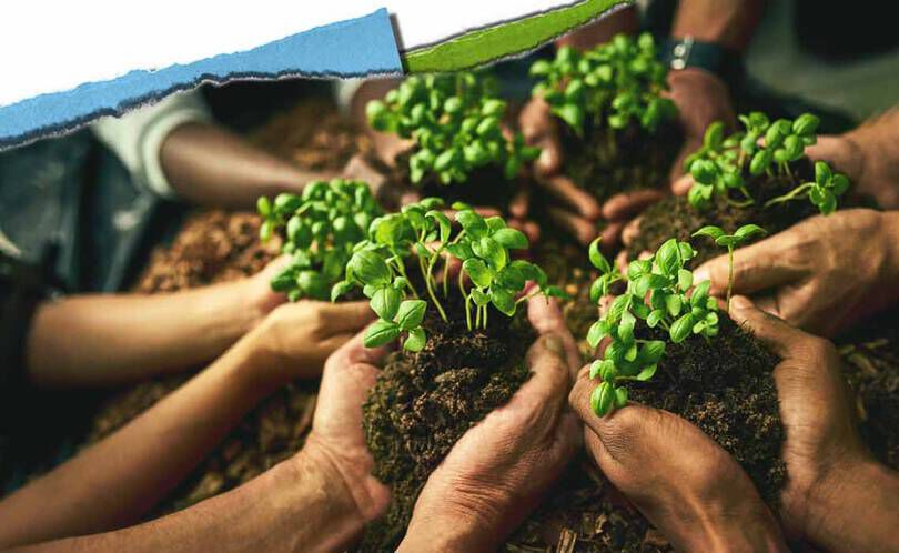 Verschillende handen houden kleine plantjes in de grond, als symbool voor de samenwerking binnen de gemeenschap en het voeden van groei.
