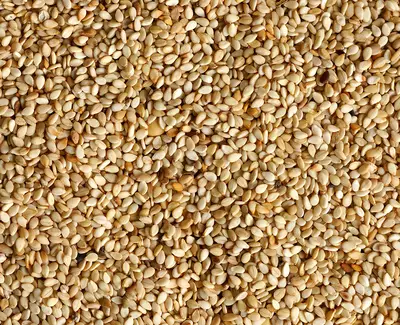A close-up image of a large pile of beige sesame seeds, highlighting their tiny, oval shapes and varied textures.