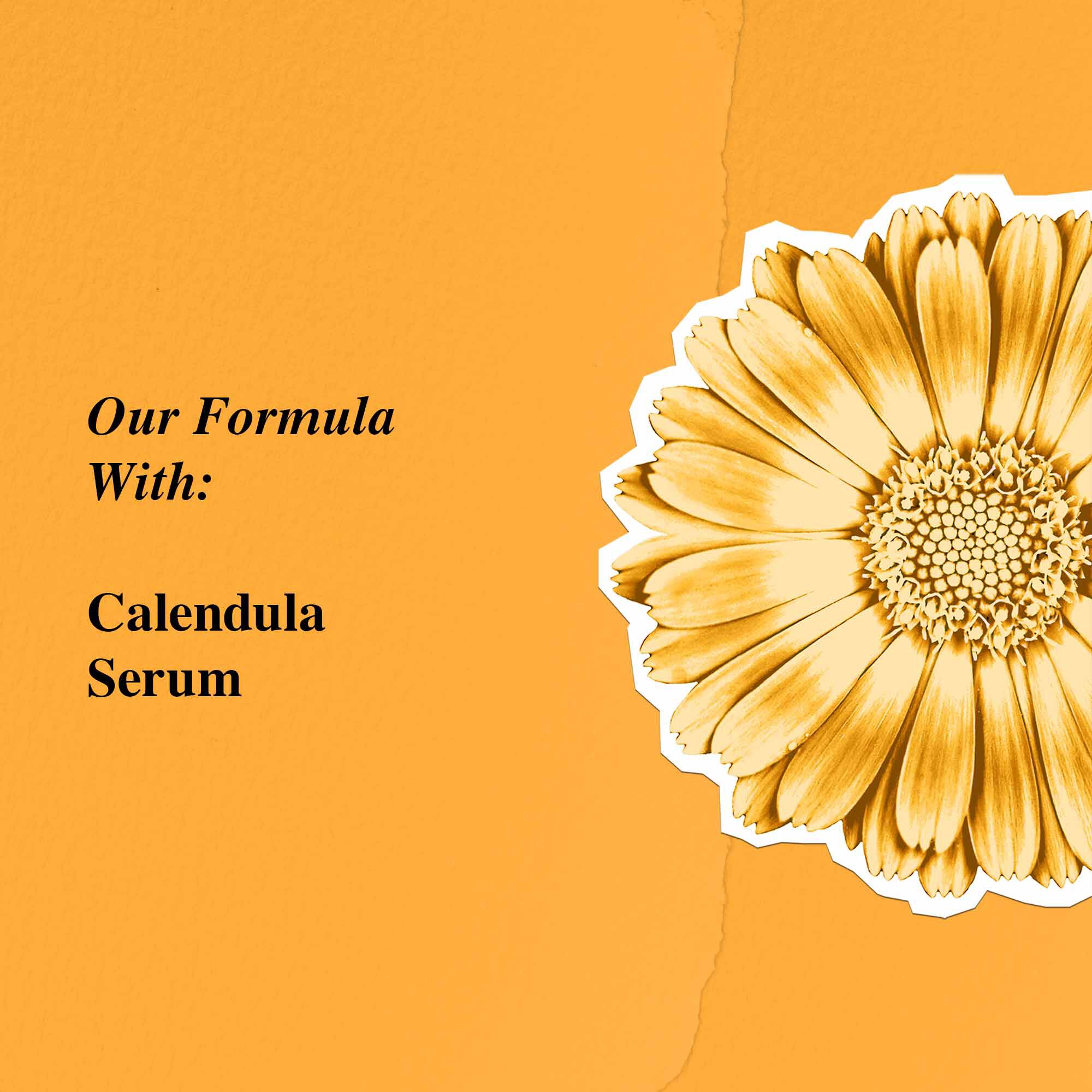Calendula Serum-Infused Water Cream - Hydraterende Gezichtscreme