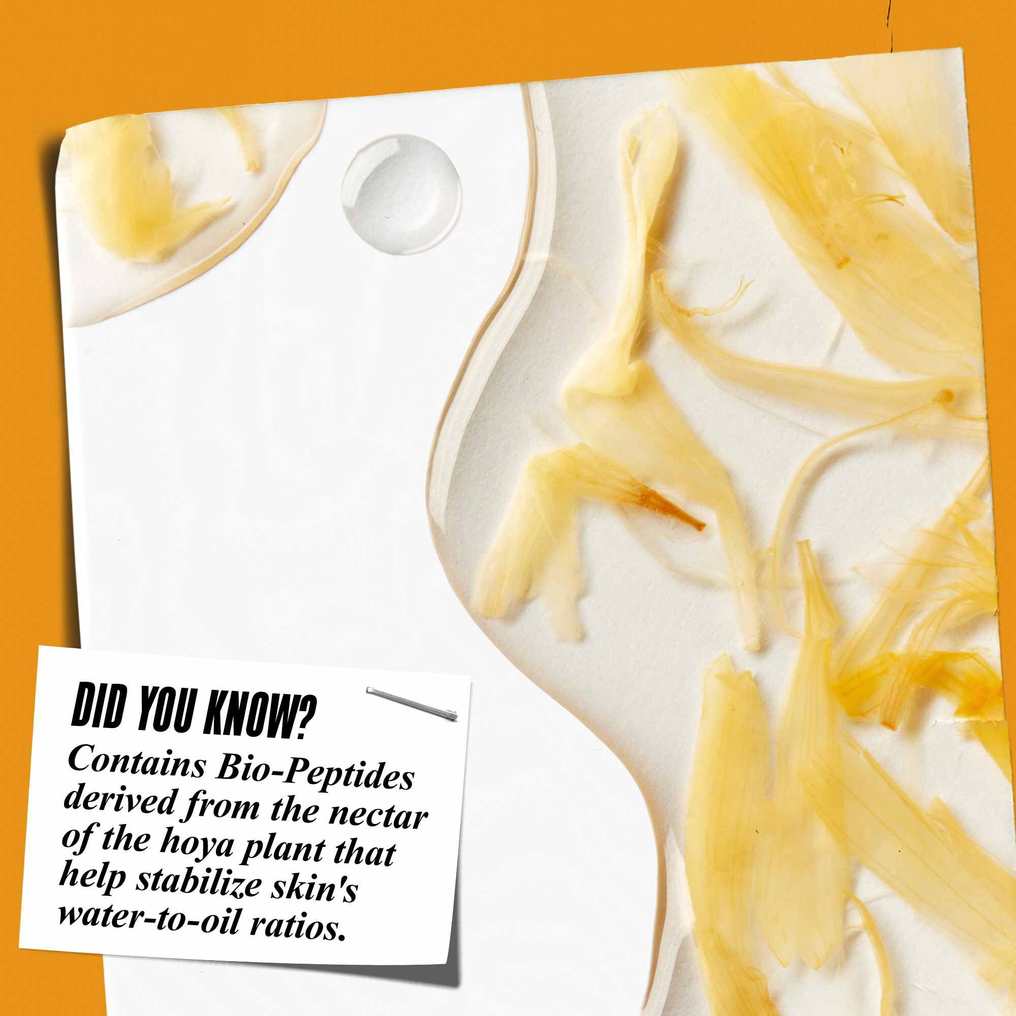 Close-up van de Calendula Herbal-Extract Toner textuur met goudsbloemblaadjes en de tekst: "Wist je dat? Bevat bio-peptiden afgeleid van de nectar van de hoya plant die helpen de water-olie verhouding van de huid te stabiliseren."