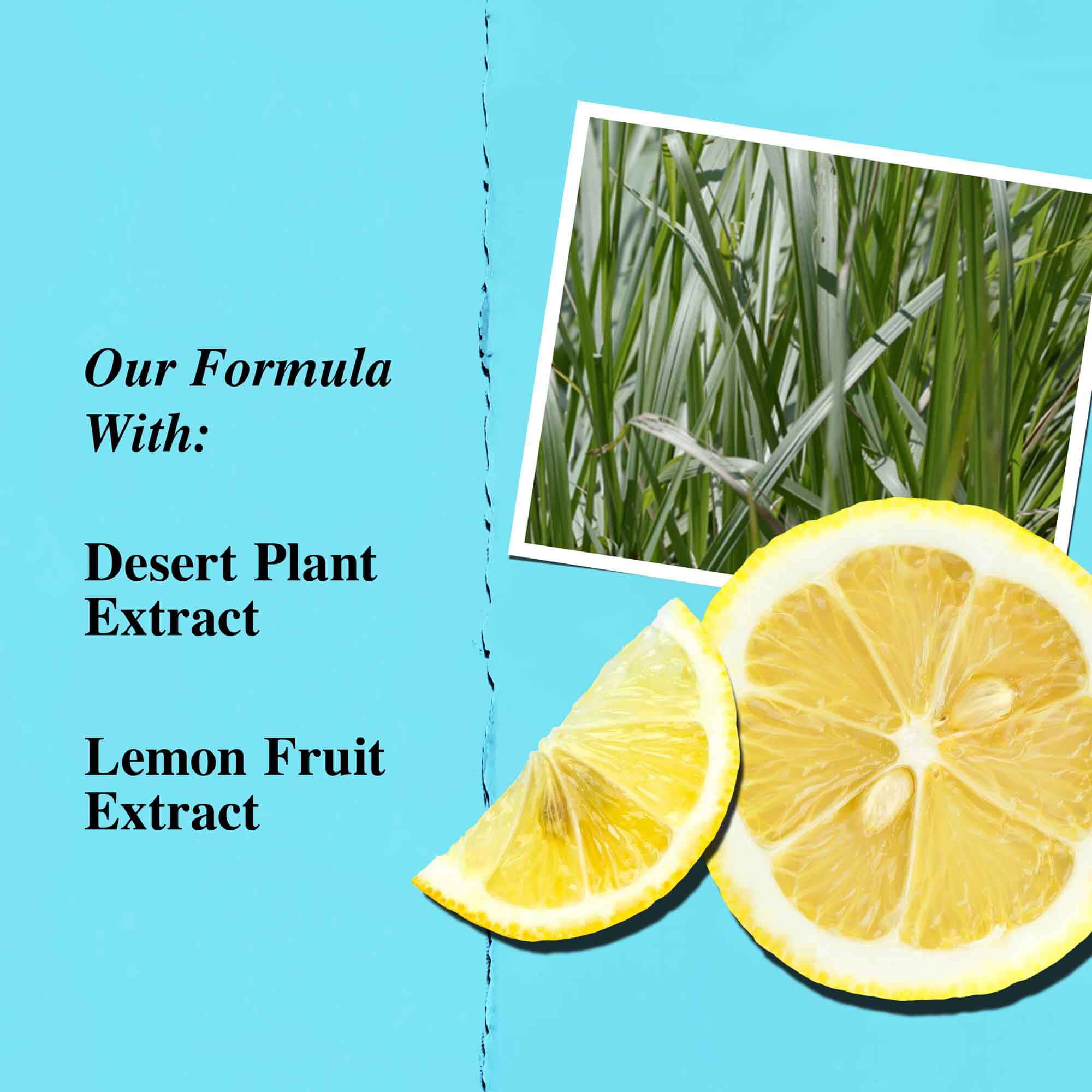 Grafiek van de belangrijkste ingredienten: woestijnplantextract en citroenfruitextract.