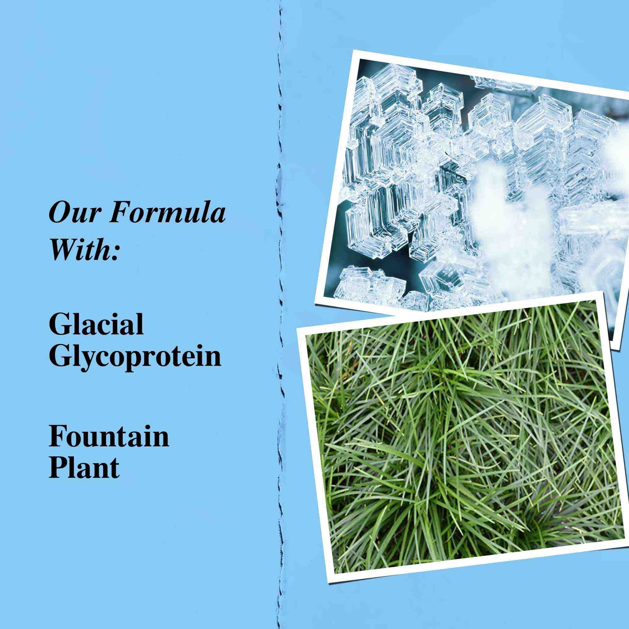 Grafiek van de belangrijkste ingredienten: glaciaal glycoproteine en slangenbaard (fountain plant).