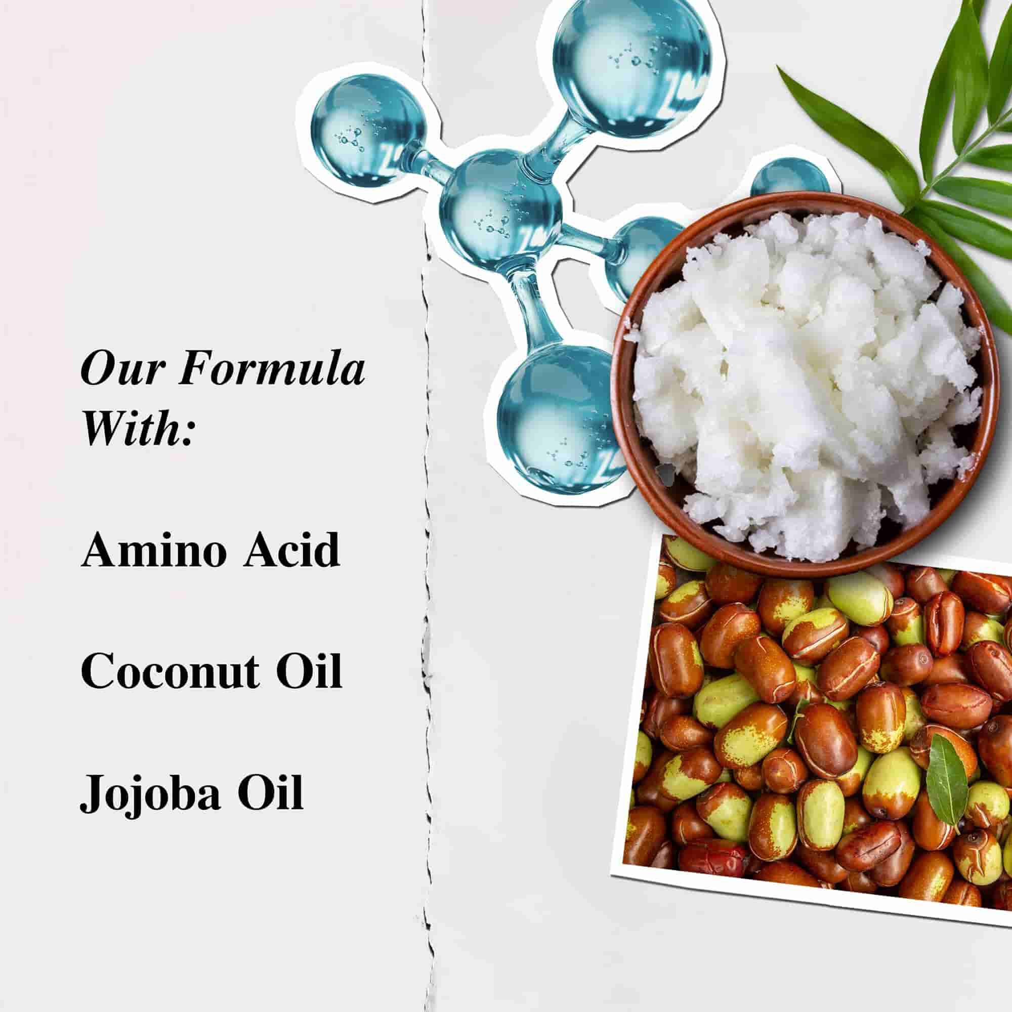 Kiehl's Aminozuurconditioner ingredient illustratie - Aminozuur, kokosolie, jojobaolie
