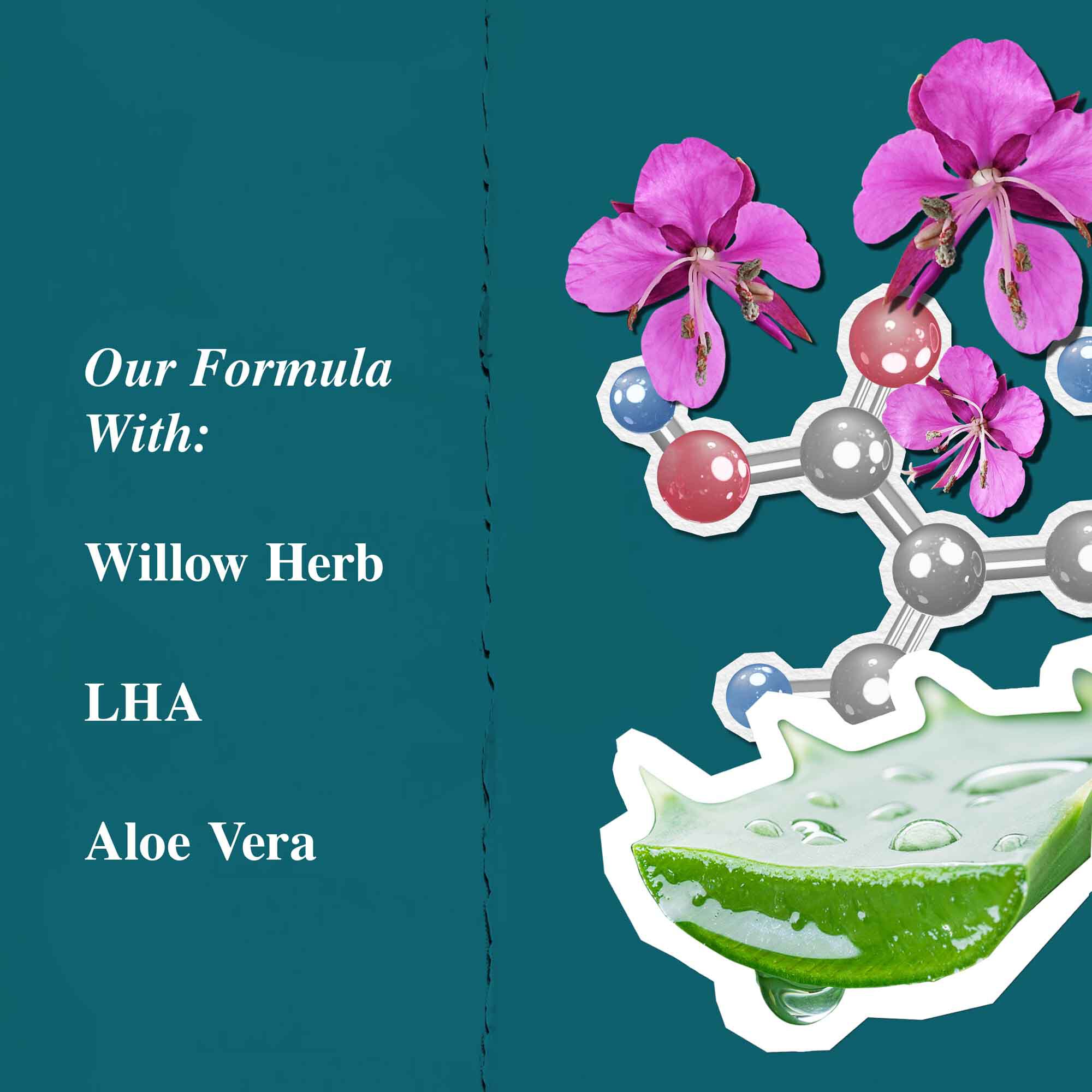 Ingredientengrafiek voor Close Shavers Squadron Smooth Glider Precision Shave Lotion, met de nadruk op wilgenroosje en aloe vera.